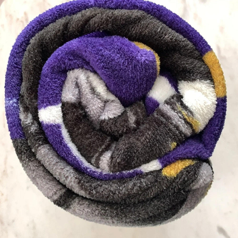 NFL baltimore ravens